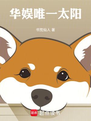 极品家丁之征服